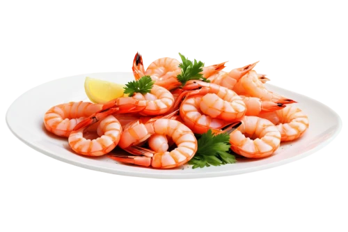 scampi,pilselv shrimp,udang,shrimps,shrimpfood,the best sweet shrimp,boiled shrimp,shrimp salad,freshwater prawns,prawns,cooked frozen arctic sweet shrimp,shrimp pasta,north sea shrimp,shrimp,shrimp of louisiana,riccioli,frozen shrimp,arctic sweet shrimp,fried prawn,shrimp fry,Art,Classical Oil Painting,Classical Oil Painting 35