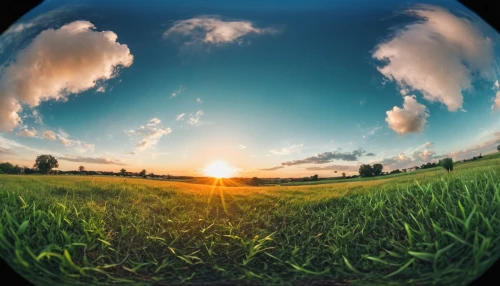 photosphere,grain field panorama,360 ° panorama,stereographic,landscape background,nature background,biopesticides,wheat germ grass,triticale,sunburst background,background view nature,agroecology,evapotranspiration,microstock,wheat crops,fisheye,meadow landscape,ryegrass,aggriculture,monoculture,Photography,General,Cinematic
