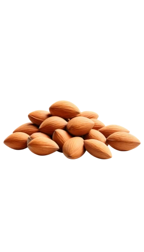 almond nuts,unshelled almonds,almonds,indian almond,pine nuts,almond,noise almond,roasted almonds,groundnuts,groundnut,pumpkin seeds,nutshells,cocoa beans,nutans,argan,mixed nuts,almond oil,isolated product image,salted peanuts,kacang,Illustration,Vector,Vector 05