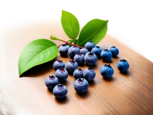 bilberry,blueberries,bilberries,berry fruit,berries,antioxidants,johannsi berries,wild berries,phytotherapy,naturopathic,dewberry,vaccinium,berries fruit,antioxidant,naturopathy,anthocyanin,elderberries,many berries,flavonoids,goose berries,Illustration,Abstract Fantasy,Abstract Fantasy 08