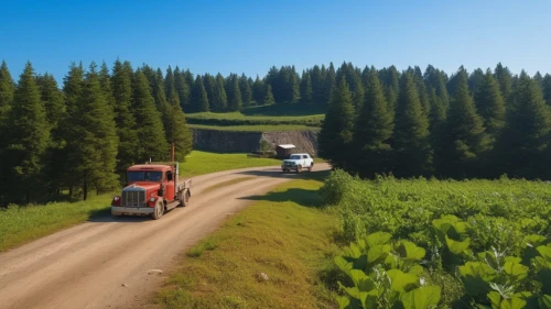 dirt road,country road,logging truck,mountain road,overland,backroad,rolling hills,farm pack,backroads,hillclimb,rural landscape,forest road,tractors,rural,road train,countryside,tramroad,hayrides,silage,ore mountains,Photography,General,Realistic