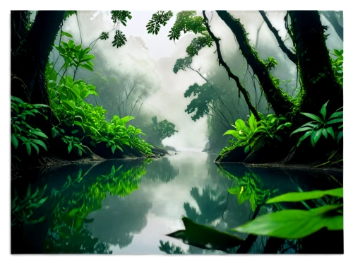 rainforests,rainforest,tropical forest,rain forest,swamps,jungles,swampy landscape,jungle,cartoon video game background,tropical jungle,world digital painting,forests,green forest,neotropical,philodendrons,jungly,swamp,verdant,virtual landscape,forest background,Illustration,American Style,American Style 15