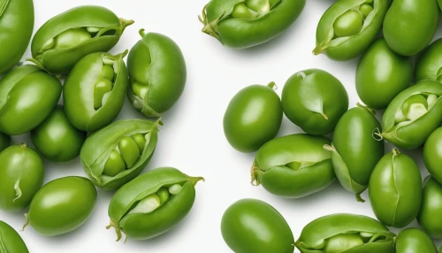green soybeans,pea,peas,serrano peppers,lectins,jalapenos,moong bean,legumes,fava,legume,fragrant peas,mung beans,edamame,pods,favas,green beans,olives,chilli pods,soybean,propagules,Photography,General,Natural