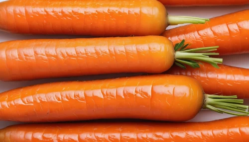 carotenoids,carrot pattern,carrots,carrot salad,carrothers,carrols,carrott,carotene,carota,carrot,carrola,carrot print,carrot juice,colorful vegetables,big carrot,carotenoid,carotenes,phytochemicals,vegetable fruit,vegetable outlines,Photography,General,Natural