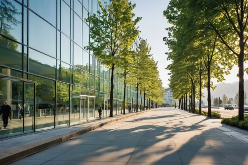 tree-lined avenue,glass facade,tree lined avenue,glass facades,tree lined lane,tree lined path,tree lined,glass wall,glass building,biopolis,row of trees,champalimaud,glass panes,daylighting,green trees,marunouchi,omotesando,embl,esplanades,cupertino,Conceptual Art,Daily,Daily 20