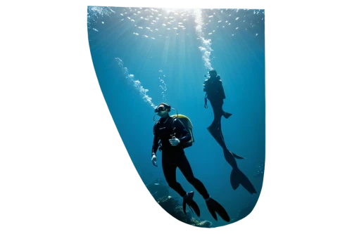 freediving,freediver,scuba diving,scuba,rebreather,underwater background,divers,subaquatic,deep sea diving,buceo,divemaster,diver,sidemount,undersea,diving bell,thermocline,spearfishing,submersion,snorkelers,submersible,Photography,Fashion Photography,Fashion Photography 05