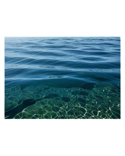 underwater landscape,underwater background,ocean underwater,thermocline,ocean background,shallows,water surface,seawater,seafloor,seawaters,seabed,sea water,the shallow sea,hydrosphere,seabeds,ocean floor,seagrass,sea level,emerald sea,countercurrent,Illustration,Realistic Fantasy,Realistic Fantasy 28