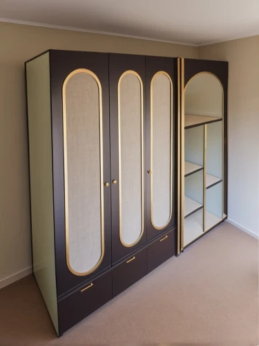 wardrobes,armoire,storage cabinet,walk-in closet,highboard,metal cabinet,bookcases,bookcase,tv cabinet,hinged doors,cabinetry,cupboards,cupboard,art deco frame,shoe cabinet,display case,cabinet,cabinetmaker,dresser,switch cabinet,Photography,General,Realistic