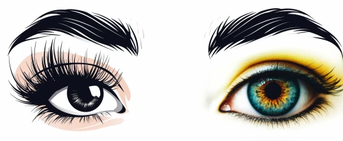eyes line art,women's eyes,cornea,pupillary,eyes makeup,eyeballs,pupils,eyeball,oeil,irises,sclera,corneal,mayeux,abstract eye,eyes,reflex eye and ear,dilation,eyespots,eye ball,peacock eye