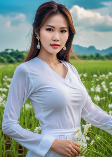 vietnamese woman,laotian,vietnamese,miss vietnam,phyu,asian woman,nghe,xuyen,huong,oanh,anh,nghi,mirifica,ao dai,viet nam,viet,phuong,landscape background,ngoc,vietnam vnd,Photography,General,Realistic