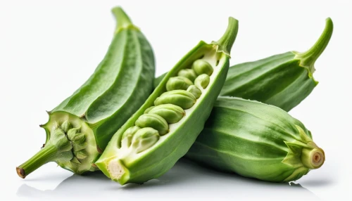 citrifolia,cornichons,propagules,asparagaceae,celery and lotus seeds,asparagales,puya,spadix,piperia,star fruit,serrano peppers,cornici,fragrans,okra,phytoestrogens,poblano,fava,rajas,friulano,spathe,Photography,General,Commercial