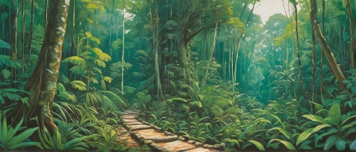tropical forest,rainforest,forest path,rainforests,levada,bamboo forest,green forest,rain forest,pathway,forest road,paruta,jungle,philodendrons,tree top path,tropical jungle,jungles,verdant,hiking path,wooden path,aaa