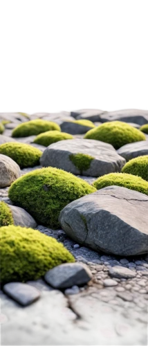 moss landscape,background with stones,mountain stone edge,stone background,glasswort,intertidal,seagrass,beach grass,seamless texture,rocky beach,drystone,block of grass,cobblestone,saltmarsh,seawall,smooth stones,virtual landscape,moss,streambeds,cobblestones,Photography,General,Commercial