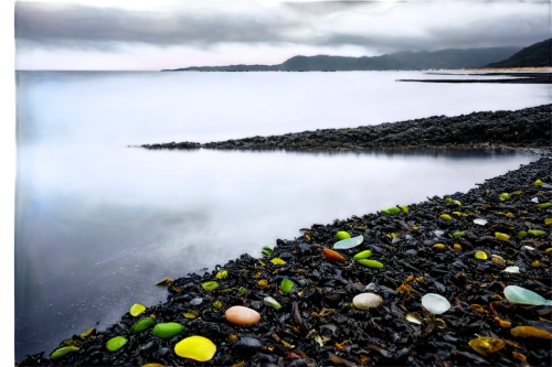 kintyre,black beach,rosemarkie,intertidal,black sand,background with stones,fenit,rocky beach,eigg,loch linnhe,easdale,applecross,dunure,cumbrae,foreshore,flysch,invergowrie,fortrose,hebrides,roundstone,Photography,Black and white photography,Black and White Photography 07