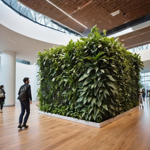 titanum,plant tunnel,money plant,tobacco bush,philodendrons,hostplant,tunnel of plants,hanging plants,planta,ficus,pepper plant,wintergarden,container plant,sfmoma,atriums,hanging plant,the plant,biopiracy,infection plant,safdie,Photography,General,Realistic