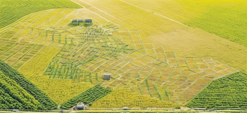 cropmarks,chair in field,potato field,corn pattern,agroculture,vegetable field,vegetables landscape,solar field,dji agriculture,organic farm,agriculture,fruit fields,field of rapeseeds,sternfeld,agrotourism,agricultural,cereal cultivation,collineation,croplife,corn framing