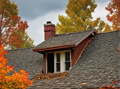 roof landscape,house roofs,house roof,tiled roof,roof tiles,red roof,roofline,rooflines,dormer window,the old roof,dormer,shingled,wooden roof,roof tile,slate roof,roofing,fall landscape,fall foliage,chimneys,reed roof,Conceptual Art,Daily,Daily 02