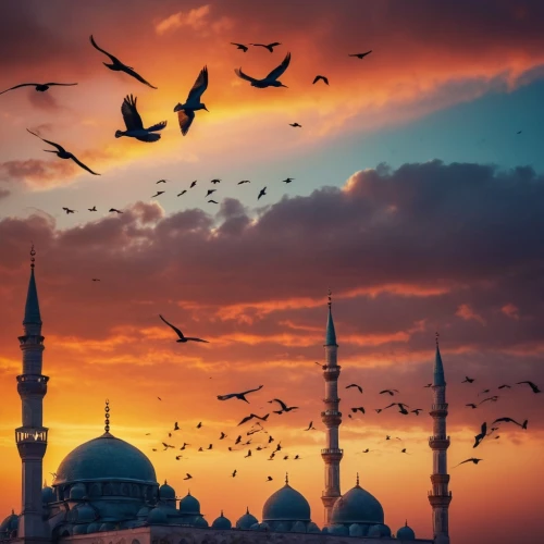 sultan ahmed mosque,blue mosque,mosques,ramadan background,muezzin,maghrib,muezzins,sultanahmet,sultan ahmet mosque,islamic architectural,grand mosque,muslim background,islamic lamps,tarawih,istanbul,arabic background,tawhid,maghreb,caliphs,mevlana,Photography,General,Cinematic