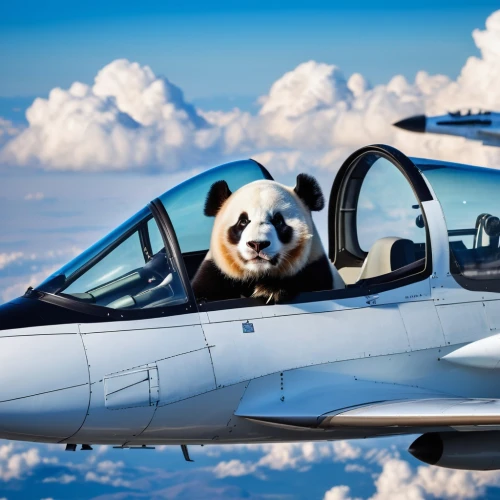 dogfighter,aerobatics,aerobatic,piloting,piloto,jasdf,dogfight,airshow,panda,airmanship,pilotless,topgun,growler,cheerful dog,jetsun,sport aircraft,puxi,shih tzu,lancair,copilot,Photography,General,Realistic