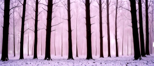 winter forest,snow trees,winter background,cartoon forest,birch forest,snow scene,snow landscape,fir forest,copses,winter landscape,copse,beech trees,coniferous forest,forest background,row of trees,pine forest,birch trees,snow in pine trees,mixed forest,forest landscape,Art,Artistic Painting,Artistic Painting 42