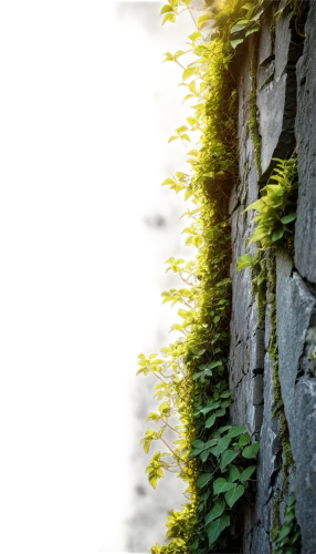 moss landscape,wall,longwall,maidenhair,spleenwort,crevice,cliff face,old wall,ravine,stone wall,mountain stone edge,limestone cliff,green wallpaper,background ivy,kudzu,cliffside,cliffsides,chasms,walled,yellow brick wall,Illustration,Paper based,Paper Based 26