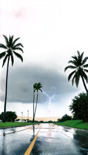 monsoon,storming,lightning storm,rainstorm,storms,substorms,derivable,rainstorms,tormenta,temporal,stormed,storm ray,superstorm,thundershower,storm,tempestuous,lightning bolt,thunderstorms,coastal road,thunderstreaks,Conceptual Art,Daily,Daily 19