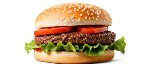 burger emoticon,hamburger,burger,homburger,burguer,cheeseburger,presburger,newburger,burgermeister,borger,shallenburger,gardenburger,harburger,burger pattern,classic burger,shamburger,big hamburger,hamburgers,burgers,the burger,Conceptual Art,Sci-Fi,Sci-Fi 14