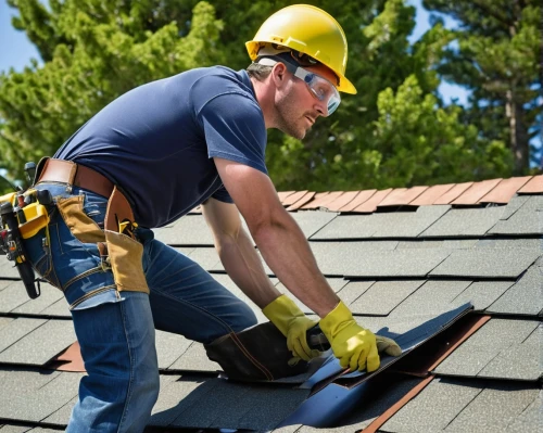 roofing work,roofer,roofing,roofers,roof plate,tiled roof,roof panels,slate roof,roofing nails,shingling,roof tile,roof tiles,roof construction,house roof,asbestos,house roofs,underlayment,shingles,shingled,house painter,Illustration,Children,Children 04