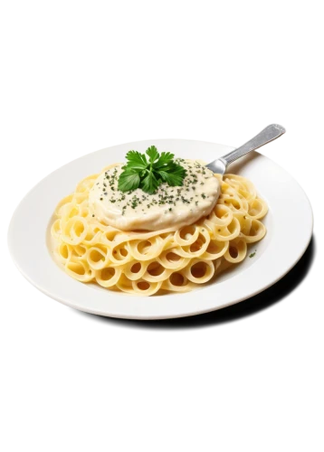 rotini,borgetti,fettucine,italian pasta,spaguetti,fettuccine,linguini,pasta,capobianco,tetrazzini,oglio,cheese noodles,riccioli,linguine,samisoni,spagnuolo,fusilli,ragetti,macaroni,spaetzle,Photography,Black and white photography,Black and White Photography 06