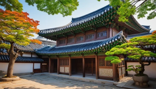 hanok,changgyeonggung palace,hanhwa,namsan hanok village,gudeok,seondeok,sukjong,sungkyunkwan,suwon,dongbuyeo,goryeo,jeonju,changdeokgung,hanseong,gyeongju,gyeonghoeru,gyeongbokgung,gyeongjeon,bulguksa temple,gyeongbok,Conceptual Art,Graffiti Art,Graffiti Art 11