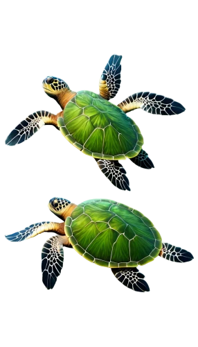 stacked turtles,turtle pattern,terrapins,turtles,water turtle,turtletaub,painted turtle,tortugas,turtle,land turtle,tortuguero,terrapin,green turtle,marsh turtle,tortoises,sea turtle,trachemys,tortue,leapfrogs,tortuga,Photography,Artistic Photography,Artistic Photography 01