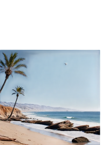 surfliner,garden route,amanzimtoti,canary islands,plett,namibe,umhlanga,baja california sur,fuerteventura,beach landscape,western cape,agadir,cape verde island,swakopmund,bathsheba,laguna beach,kzn,ethekwini,ocean background,beach scenery,Photography,General,Commercial