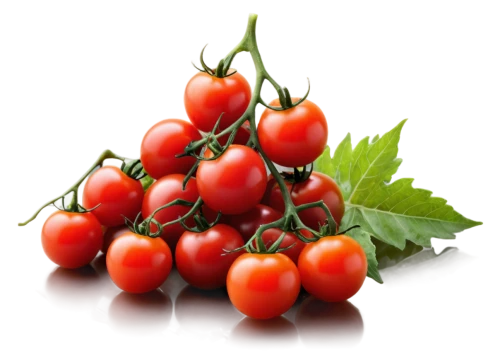 cherry tomatoes,grape tomatoes,plum tomato,vine tomatoes,panicle tomato,lycopene,red tomato,roma tomatoes,tomatis,tomatoes,greed,tomato,tomates,tomatos,red currant,red gooseberries,roma tomato,red,redcurrants,cherrie,Conceptual Art,Fantasy,Fantasy 27
