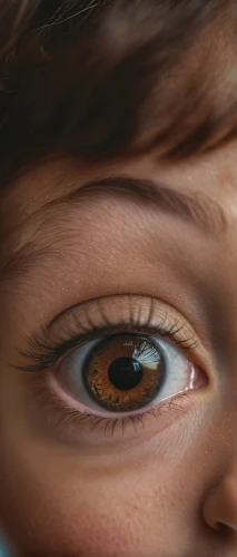 children's eyes,keratoconus,amblyopia,women's eyes,retinoblastoma,strabismus,pupils,the eyes of god,augen,eye,ophthalmia,reflex eye and ear,nystagmus,ojos,pupillary,keratoconjunctivitis,eye scan,the blue eye,heterochromia,brown eye,Photography,General,Cinematic