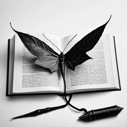 llibre,bookmark with flowers,burnt pages,libros,book wallpaper,book pages,book electronic,butterfly isolated,literario,magic book,bookmark,lectio,libri,bookish,locutions,nonreaders,turn the page,open book,libro,underwritings,Photography,Black and white photography,Black and White Photography 01