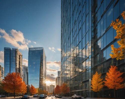 marunouchi,office buildings,peachtree,autumn scenery,fall foliage,fall landscape,yeouido,one autumn afternoon,city scape,autumn background,tishman,urban landscape,autumn light,autumn day,songdo,autumn morning,the trees in the fall,citicorp,autumn sun,tamachi,Art,Classical Oil Painting,Classical Oil Painting 11
