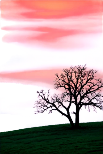isolated tree,lone tree,arbre,bare tree,lonetree,tree,landscape background,red tree,tree thoughtless,dusk background,tree silhouette,bare trees,nature background,deciduous tree,oak tree,small tree,a tree,virtual landscape,walnut trees,watercolor tree,Art,Classical Oil Painting,Classical Oil Painting 11