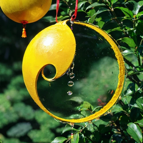 hanging lantern,aranmula,circular ornament,glass ornament,hanging decoration,wind bell,yellow ball plant,oriental lantern,ornaments,quince decorative,lantern string,water drops,wind chime,glass decorations,crescent spring,lantern plant,waterdrops,bowl of fruit in rain,hanging plant,dewdrops,Illustration,Realistic Fantasy,Realistic Fantasy 38