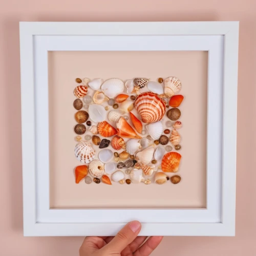 watercolor seashells,glitter fall frame,watercolor frame,floral silhouette frame,watercolor frames,sushi art,christmas gingerbread frame,watercolour frame,sushi plate,sugar bag frame,fall picture frame,floral and bird frame,marshmallow art,framed paper,orange floral paper,floral frame,watercolor baby items,christmas frame,halloween frame,round autumn frame,Photography,General,Realistic