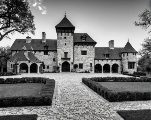 chateau margaux,domaine,chateau,monbazillac castle,bethlen castle,santenay,zelenay,wewelsburg,dumanoir,fairy tale castle sigmaringen,neufchateau,bach knights castle,waldeck castle,castle sponeck,chateaux,hluboka castle,castle sans souci,apremont,royaumont,manoir,Illustration,Black and White,Black and White 33