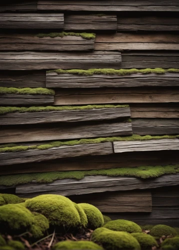 moss landscape,wood texture,green wallpaper,wood background,wood fence,wooden background,wooden wall,pile of wood,grass roof,the pile of wood,wood and beach,wood pile,roof landscape,postpile,erosion,mountain stone edge,stone fence,wooden planks,slice of wood,wave wood,Illustration,Vector,Vector 06