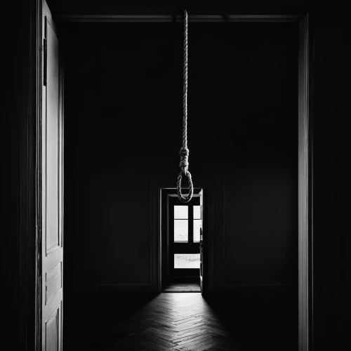 hanging light,hanging bulb,hanged,hanging lamp,hanging rope,nooses,hanging lantern,telephone hanging,empty swing,empty interior,noose,suspended,hung up,hanging chair,hanging decoration,gallows,hanging down,hanging swing,pendulum,hangings,Photography,Black and white photography,Black and White Photography 01