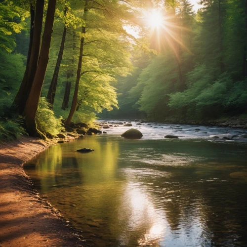 streamside,germany forest,clear stream,nature wallpaper,flowing creek,nature background,river landscape,aaaa,spessart,mountain river,cahaba,a river,mountain stream,nantahala,holy river,flowing water,aaa,goldstream,river bank,green trees with water,Photography,General,Realistic