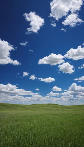 windows wallpaper,blue sky and white clouds,landscape background,grasslands,blue sky and clouds,blue sky clouds,meadow landscape,grassland,background view nature,salt meadow landscape,nature background,plains,stratocumulus,flatlands,prairies,free background,cumulus clouds,steppe,green landscape,grassfields,Photography,Documentary Photography,Documentary Photography 09