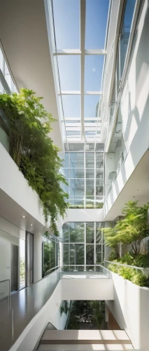 atriums,daylighting,modern office,atrium,glass wall,glass facade,glass roof,glass building,3d rendering,modern architecture,cupertino,office building,skyways,office buildings,structural glass,skylights,skywalks,wintergarden,roof landscape,revit,Illustration,Realistic Fantasy,Realistic Fantasy 04