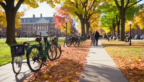uiuc,spui,bicycle lane,autumn in the park,bicycles,bicycle path,garrison,uvm,autumn background,bike path,yale university,luxeuil,depauw,fall landscape,penn,cmu,bicycle ride,the trees in the fall,fall foliage,bike city,Conceptual Art,Oil color,Oil Color 21