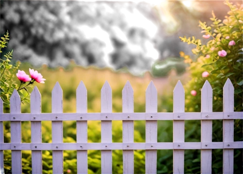 white picket fence,garden fence,fence,wooden fence,fences,the fence,fence gate,fenceline,wicker fence,fenced,fenceposts,pasture fence,fence posts,unfenced,background bokeh,fence element,wood daisy background,fense,chain fence,wood fence,Conceptual Art,Daily,Daily 22