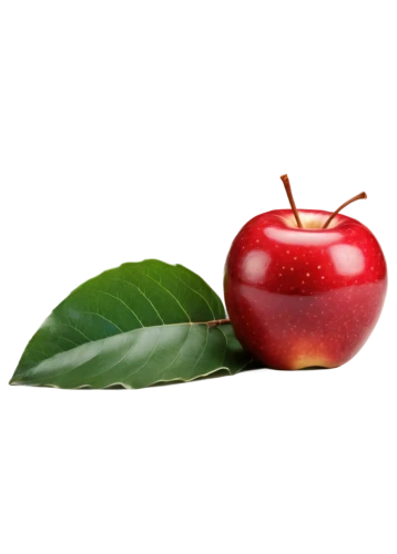 apfel,red apple,manzana,apple design,ripe apple,jew apple,apple logo,worm apple,apple core,apple icon,red and green,piece of apple,yalda,pomegranate,rose apple,greed,red apples,applebome,apple,applesoft,Photography,General,Cinematic