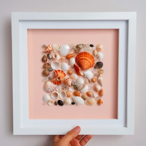 watercolor seashells,watercolor frame,floral silhouette frame,watercolour frame,watercolor frames,framed paper,floral and bird frame,peony frame,floral frame,frame illustration,flowers frame,glitter fall frame,sushi art,round autumn frame,botanical frame,food collage,marshmallow art,sushi plate,sugar bag frame,decorative frame,Photography,General,Realistic