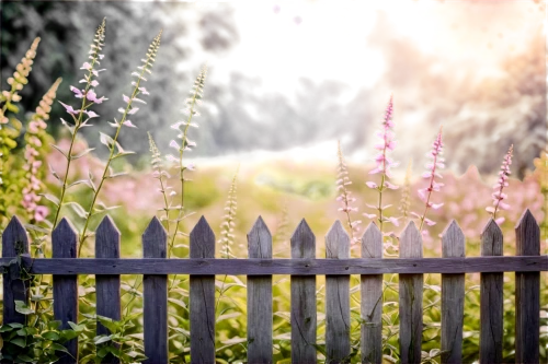white picket fence,garden fence,fences,fence,wooden fence,the fence,wicker fence,fenceposts,fenceline,fence gate,fence posts,fenced,pasture fence,chain fence,background bokeh,railings,wood fence,unfenced,garden bench,fence element,Photography,General,Natural